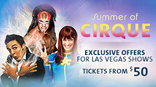 summer-of-cirque