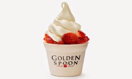 Golden Spoon Frozen Yogurt